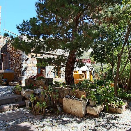 Casa Curtos Apartment Catorce Стая снимка