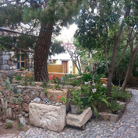 Casa Curtos Apartment Catorce Стая снимка