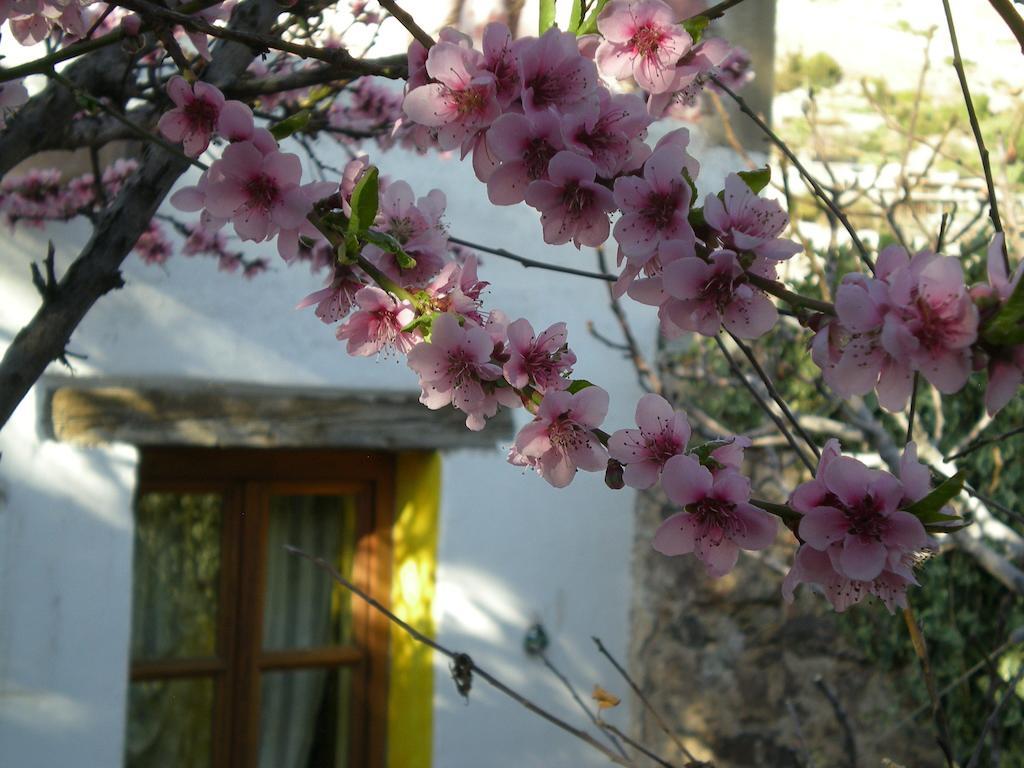 Casa Curtos Apartment Catorce Стая снимка